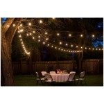 Χριστουγεννιάτικα Προϊόντα